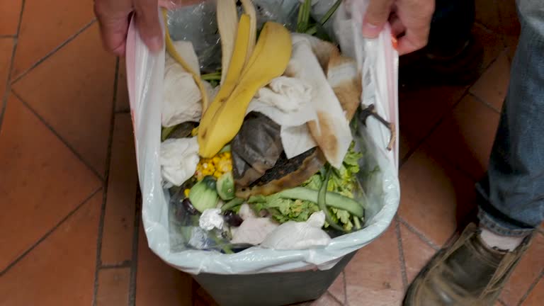 Best Junk Removal for Events  in Victoria, MN